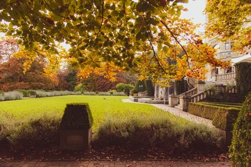 Obraz premium lawn of mansion in fall