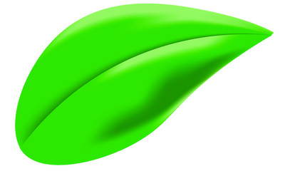 green single leaf object, blatt