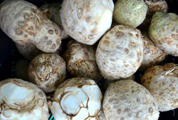 Organic celery root and leaves fresh from the farm. Background