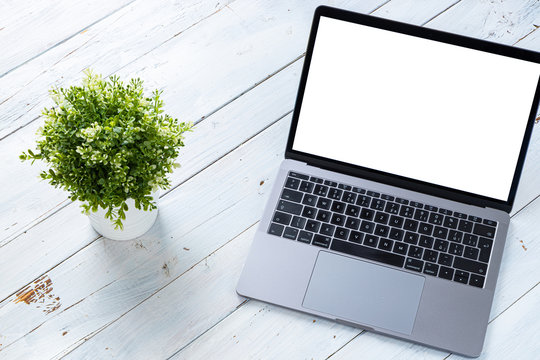 The Laptop with blank screen and green plant on white wooden table. Workspace. Copy space.