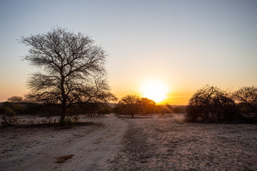 Sundown over Sabi Sabi, Kruger Nationalpark, South Africa