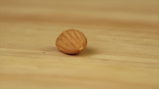 one almond rotates 360 degrees on a wooden platform