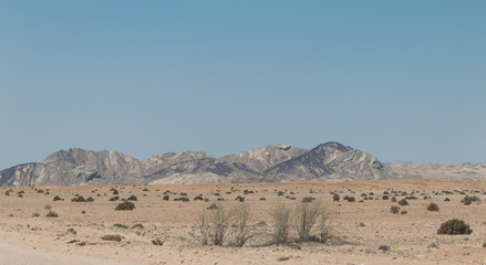 Welwitschia drive road, Namibia, Africa
