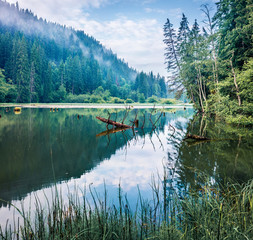 Gloomy morning view of Lacu Rosu lake. Picturesque summer scene of Harghita County, Romania,...