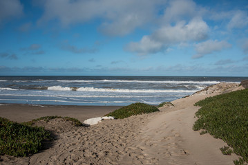 dunes on the beach