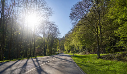 Beautiful spring landscape with a road between the trees, the sun and the blue sky in the German forest Schwarzwald