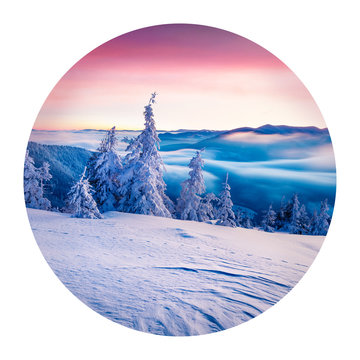 Round icon of nature with landscape. Incredible winter sunrise in Carpathian mountains with snow covered fir trees. Photography in a circle. .