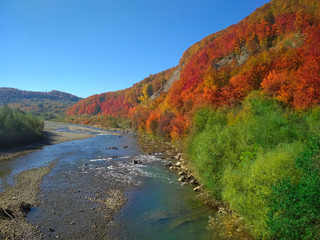 Autumn in Carpathians