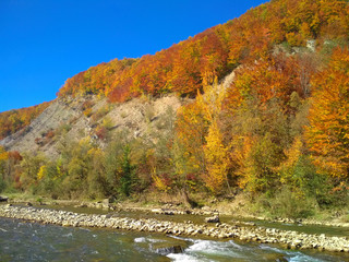 Autumn in Carpathians