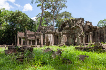 Obraz premium Preah Khan temple near Siem Reap, Cambodia. This temple looks very mystic with moss covering the stones. A big spung tree is famous for this temple.