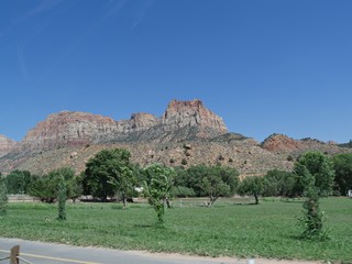 Verdant greens and distant peaks of Zion National Park, Utah, USA.