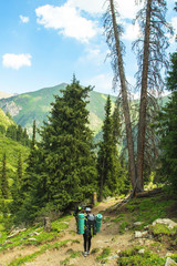 Fototapeta premium trekking in the mountains, people with backpacks, tian shan, Kyrgyzstan