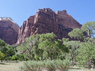 Close upward shot of the sharp steep red cliffs of Zion National Park, Utah