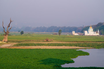 summer rural landscape with white temple and lake