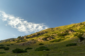 Fototapeta na wymiar Alpine meadows, mountain landscape in Kyrgyzstan