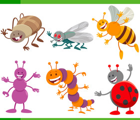 funny cartoon insects animal characters set