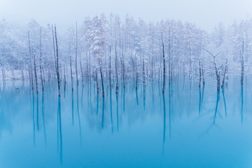 Étang bleu en hiver