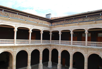 Palacio de los Condes de Miranda en Peñaranda de Duero. Burgos, Castilla y León, España