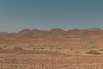 Desert landscape in the palmwag region, Damaraland, Namibia, Africa