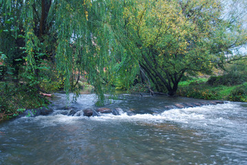 R&iacute;o Duero en oto&ntilde;o