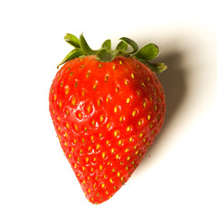 Fragola rossa matura