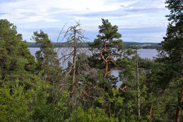 View from Pyynikki nature preserve
