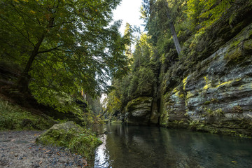 Fototapeta na wymiar canyon river canyon in the forest of the czech republic