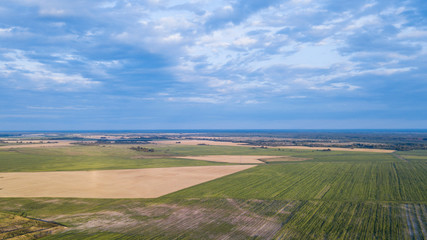 Fototapeta na wymiar aerial view of autumn harvest field and blue sky. Texture view.