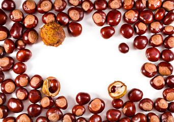 Chestnuts isolated on a white background. Text space.