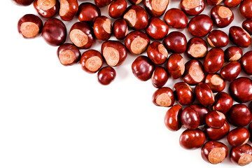 Chestnuts isolated on a white background. Text space.