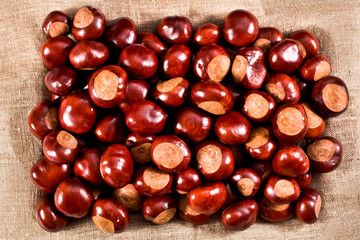 Chestnuts on a textile background. Top view.