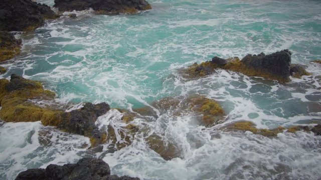 oleaje mar turquesa con rocas y algas