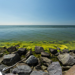 Fototapeta na wymiar stony shore seaweed in the water