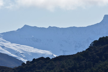 Fields of olive and almond trees with some holm oaks and pines, which contrast with the snow of Sierra Nevada in the background