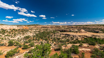 Natural Bridges National Monument, Utah