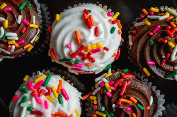 Cupcakes closeup (flat layout) on a black surface