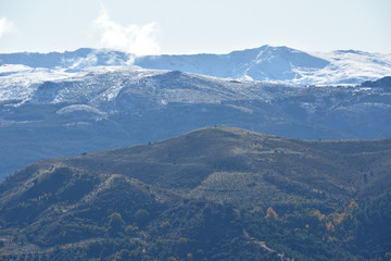 Valleys and mountains with various types of trees in a natural park of Granada with Sierra Nevada in the background