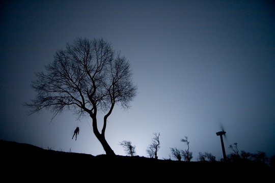 Hanged, hung man on a tree at night