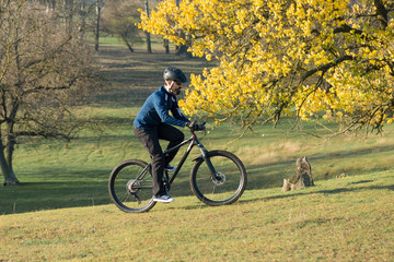 Fototapeta premium Cyclist in pants and fleece jacket on a modern carbon hardtail bike with an air suspension fork rides off-road. 