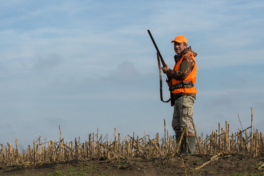 A Man With A Gun In His Hands And An Orange Vest On A Pheasant Hunt In A Wooded Area In Cloudy Weather. Hunter With Dogs In Search Of Game.