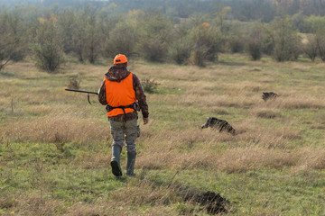 Hunting period, autumn season open. A hunter with a gun in his hands in hunting clothes in the...