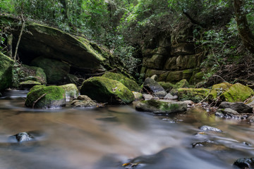 Stream near the city of Ponta Grossa, Parana - South of Brazil. Long exposure photo.