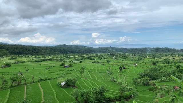 background view asia valley in Indonesia where rice plantation are cultivated, behind the agung volcano. panoramic video on green fields with light buildings,