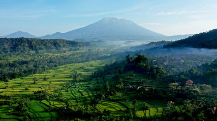 Fototapeta na wymiar Landscape with mountains and trees, East Bali.