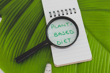 plant-based diet notepad with magnifying glass on tropical monstera leaf