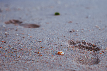 Pegadas na areia da praia 