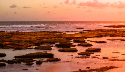 Fototapeta premium Fotos da Natureza