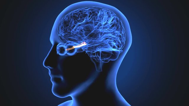 3d illustration of human eye veins anatomy