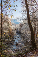 Mountain Stream through snow covered woods in Great Smoky Mountains National Park