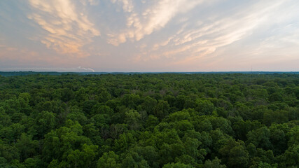 Aerial Shot over forest during sunset.